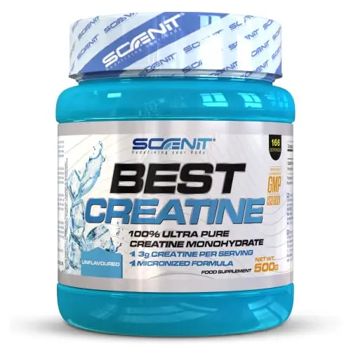 SCENIT CREATINE 500gr