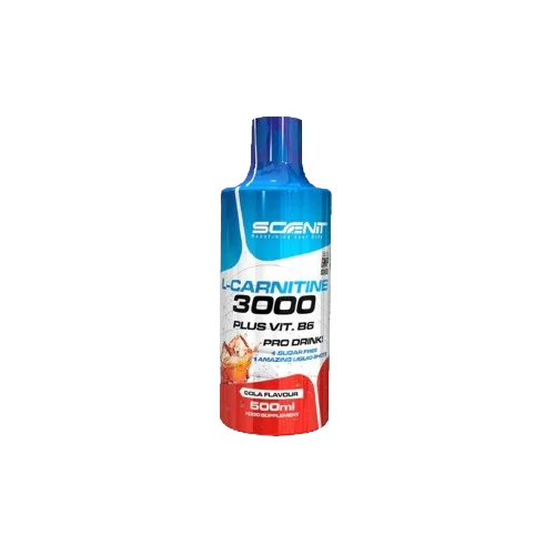 L-CARNITINE 500ML