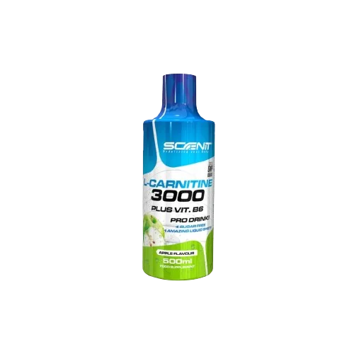 L-CARNITINE 500ML