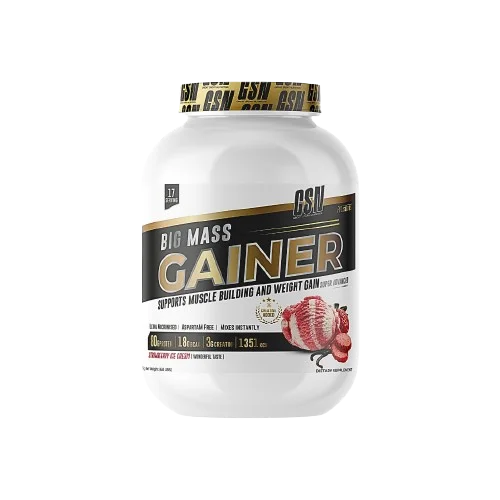 BIG MASS GAINER GSN 3KG