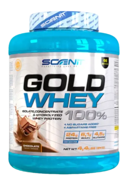 WHEY GOLD  2KG